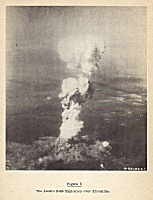 Figure 6 thumbnail from Photographs of the Atomic Bombings of Hiroshima and Nagasaki
