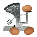 Image of an egg grading scale